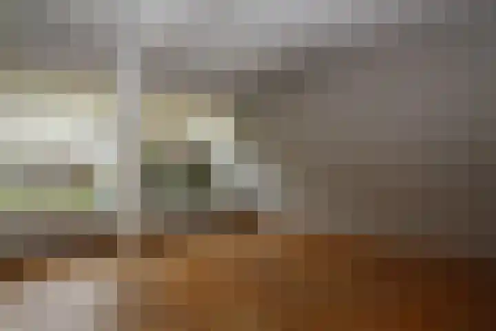 de Maten 41 Raalte thumbnail 5