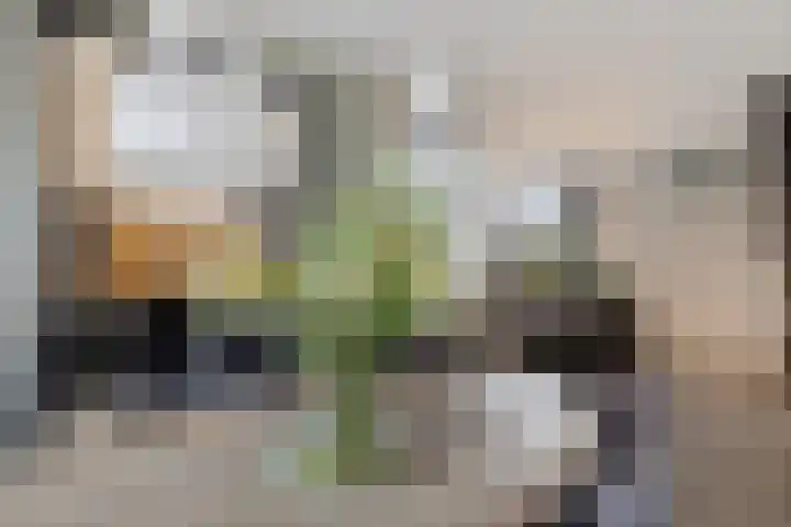 De Maten 51 Schoonebeek thumbnail 18