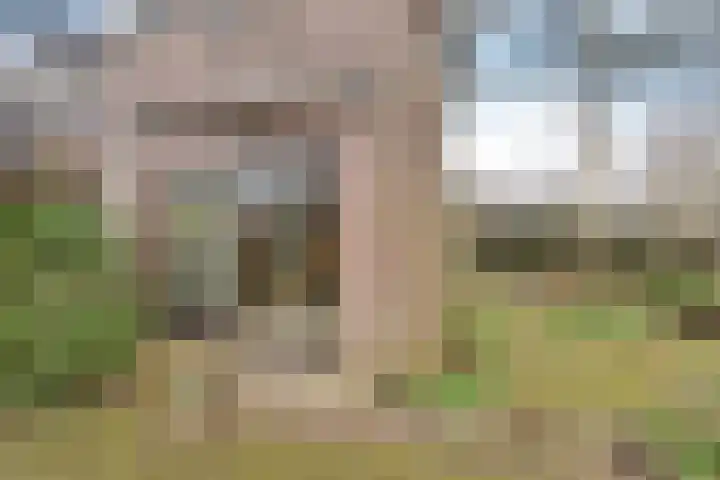 de Maten 7 Blaricum thumbnail 16