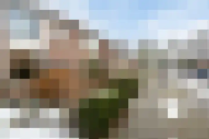 de Matestraat 11 Hellendoorn thumbnail 36