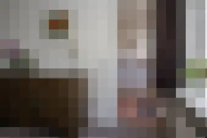 de Matestraat 8 Hellendoorn thumbnail 8