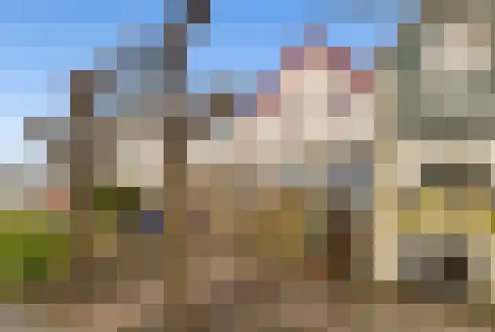 De Meent 51 Odijk