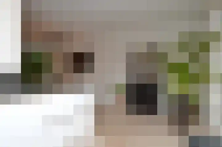De Meent 8 Deurne thumbnail 10