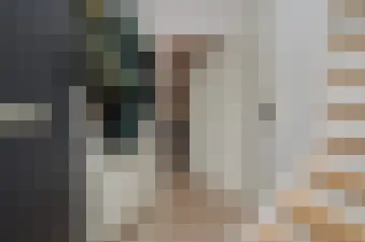 De Meent 8 Deurne thumbnail 12