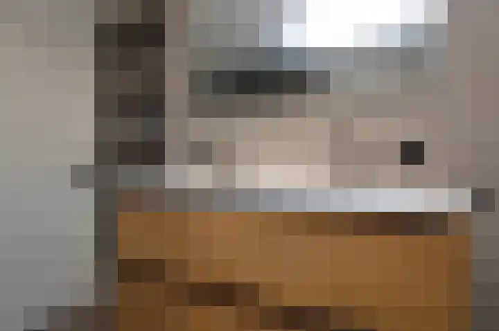 De Meent 8 Deurne thumbnail 19