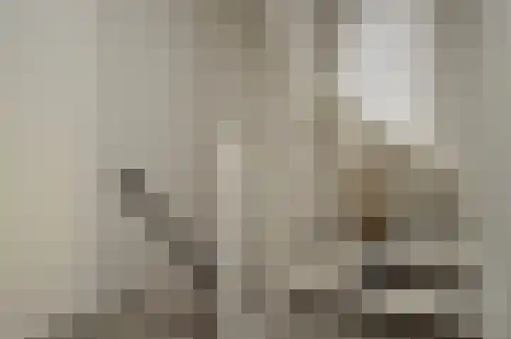 De Meent 8 Deurne thumbnail 20