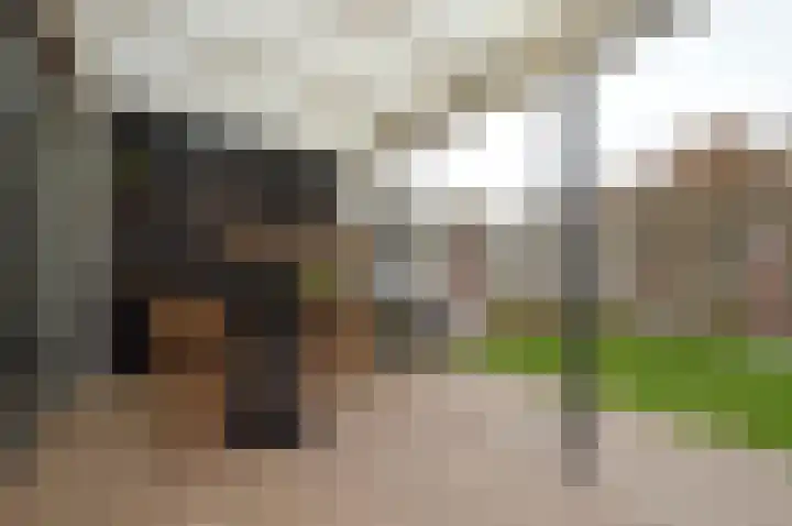 De Meent 8 Deurne thumbnail 28