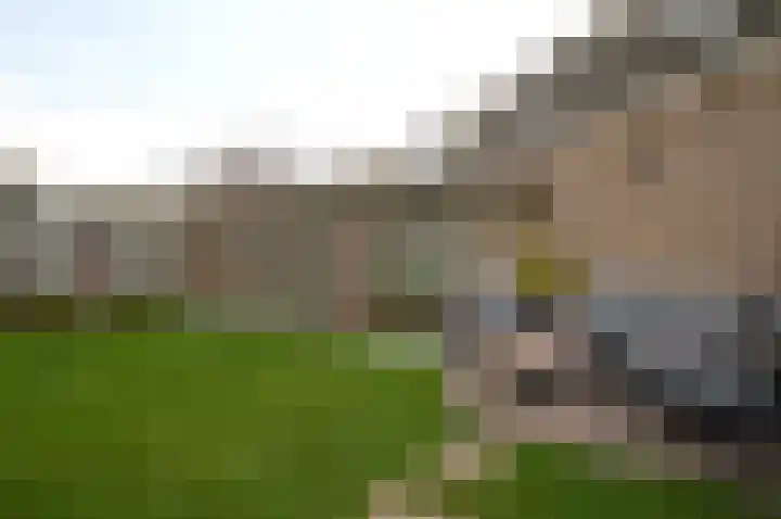 De Meent 8 Deurne thumbnail 30