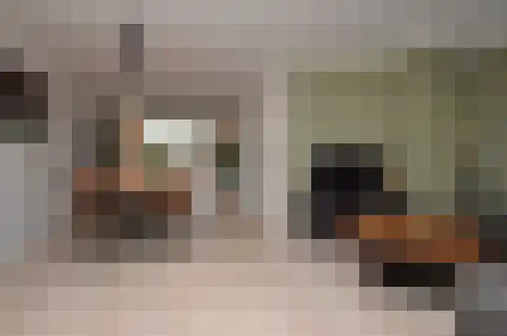 De Meent 8 Deurne thumbnail 6