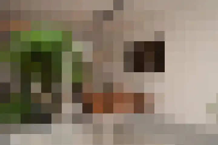 De Meent 8 Deurne thumbnail 9