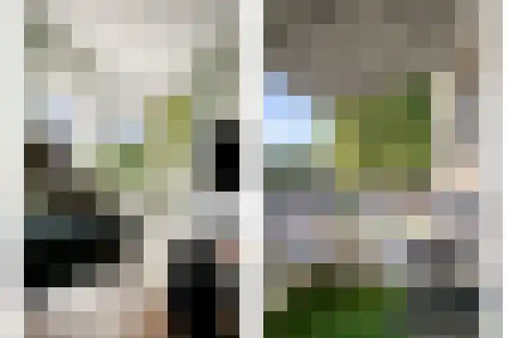 De Meer 26 Someren thumbnail 11