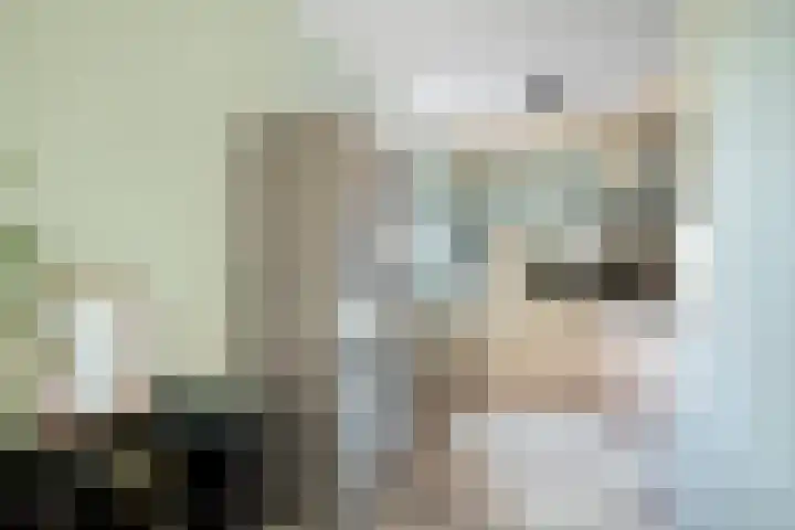 De Meer 26 Someren thumbnail 16