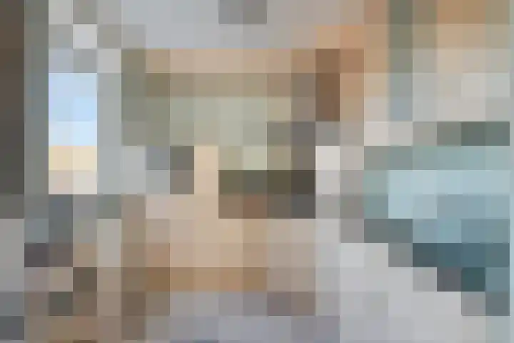 De Meer 26 Someren thumbnail 17