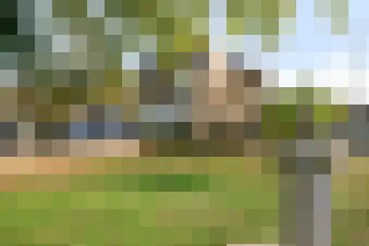 De Meer 26 Someren foto 2