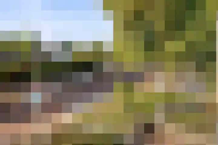 De Meer 26 Someren thumbnail 28