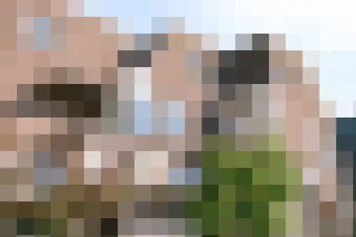 De Meer 26 Someren thumbnail 4