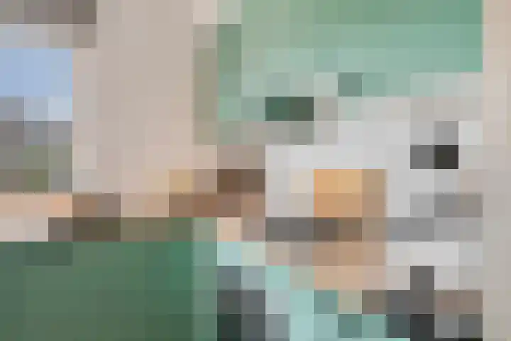 De Meer 27 Someren thumbnail 13