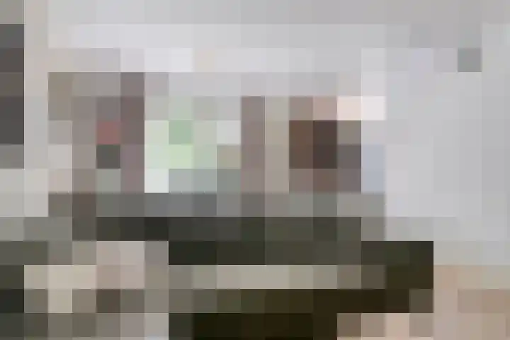 De Meer 27 Someren thumbnail 7