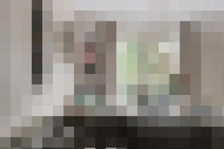 De Meer 27 Someren thumbnail 8
