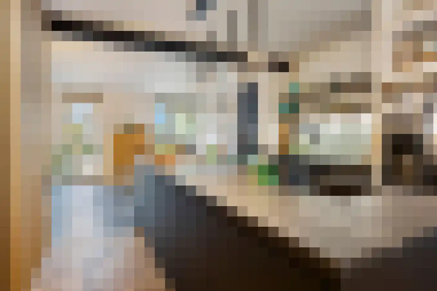 De Meerdam 2 Rosmalen thumbnail 17