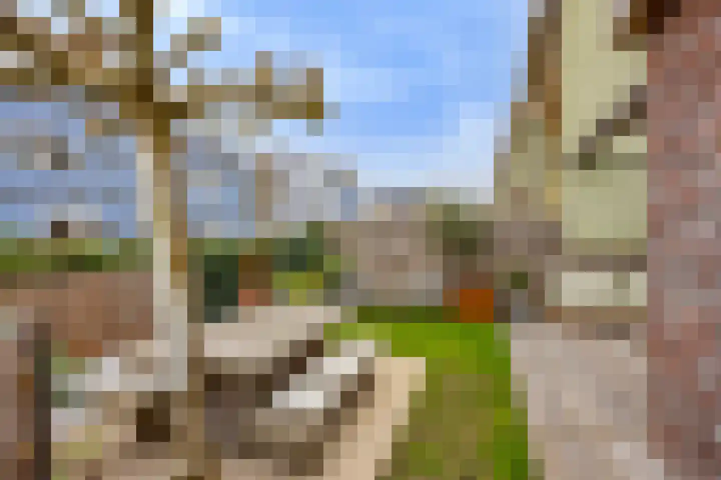 De Meerdam 2 Rosmalen thumbnail 42