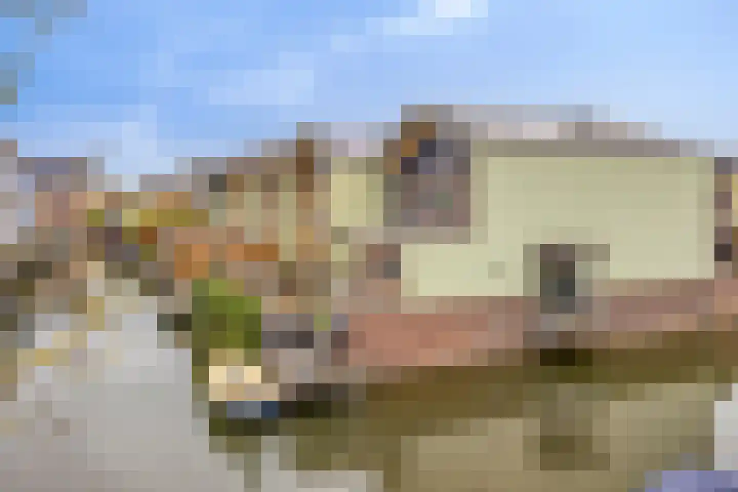 De Meerdam 2 Rosmalen thumbnail 49