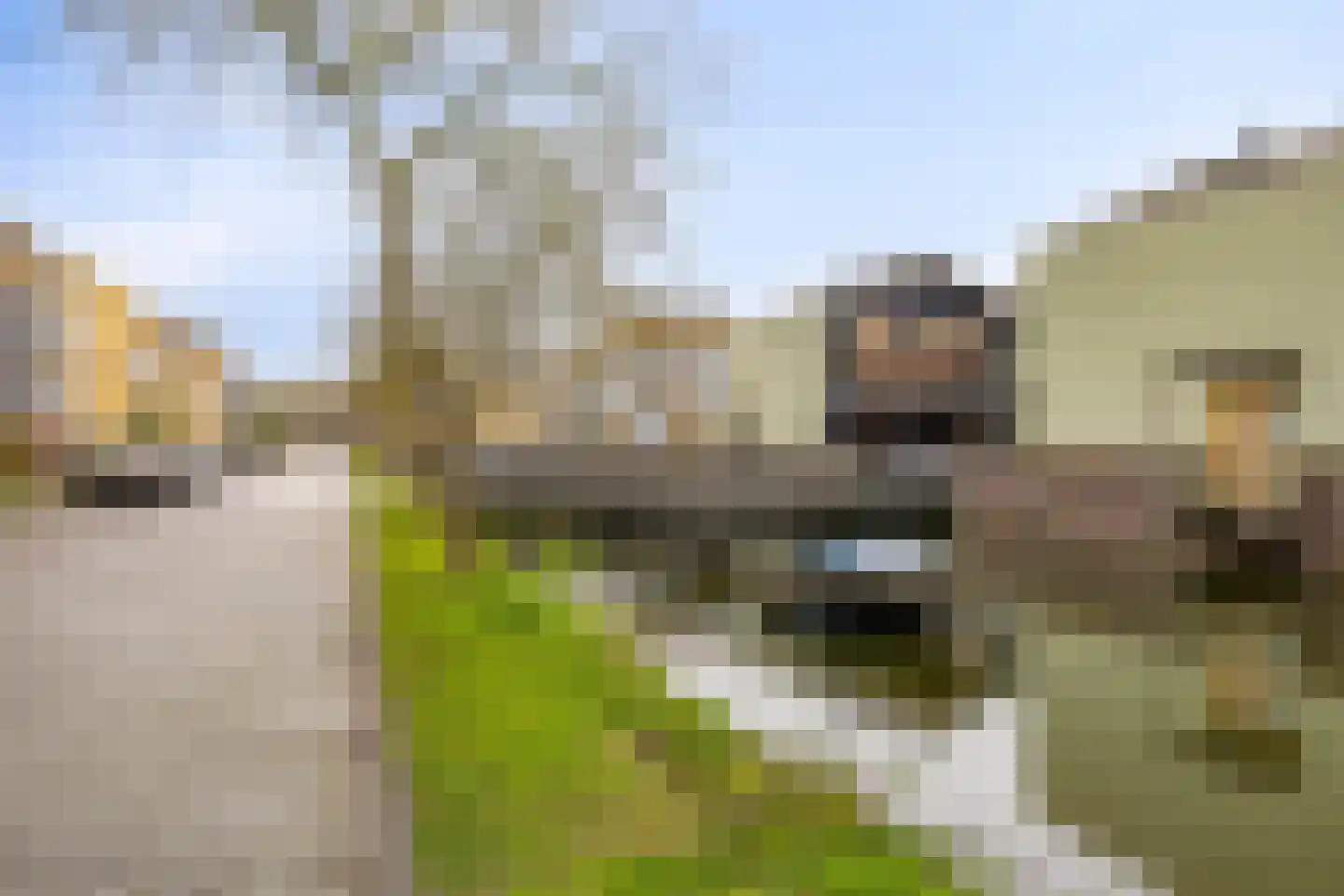 De Meerdam 2 Rosmalen thumbnail 54