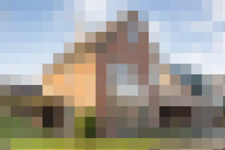 De Meerkoet 2 in Dedemsvaart