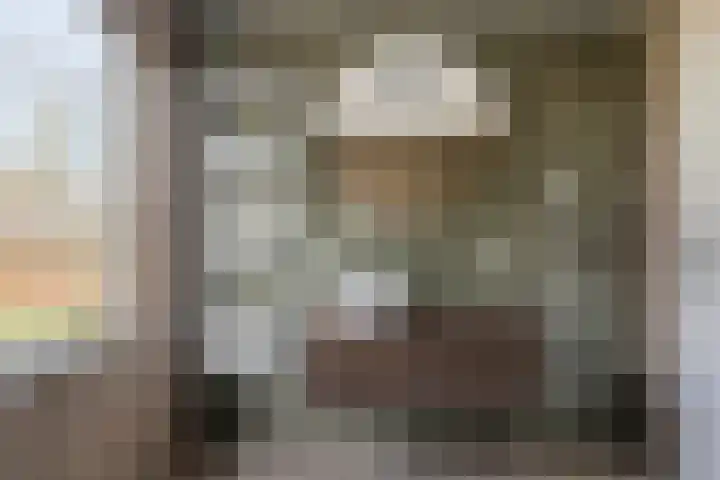 De Meesterstraat 3 Oss thumbnail 11
