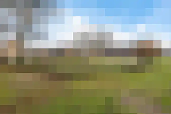 De Meesterstraat 3 Oss thumbnail 28