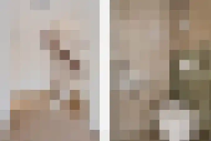 De Meesterstraat 3 Oss thumbnail 9