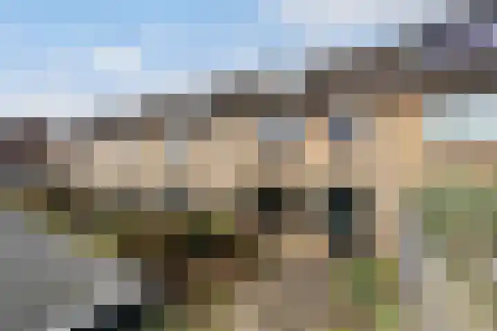 De Meibloem 45 Wateringen thumbnail 23