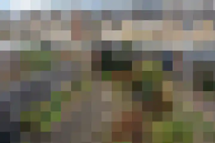 De Meibloem 45 Wateringen thumbnail 39