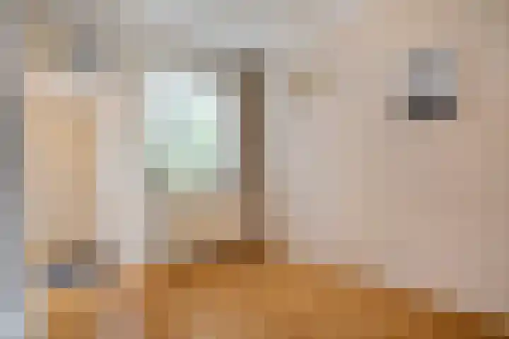 de Meibree 2 Raalte thumbnail 15