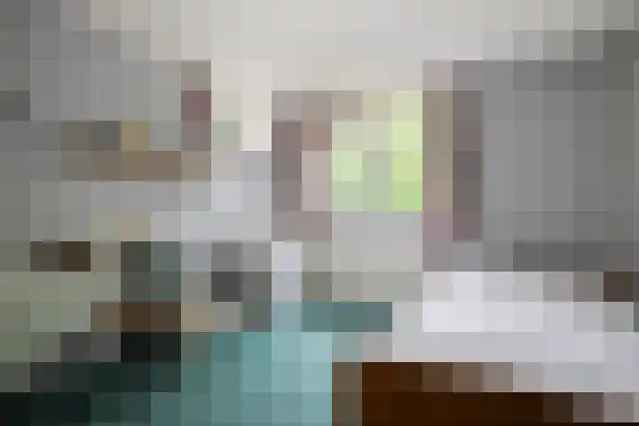 de Meibree 2 Raalte thumbnail 18