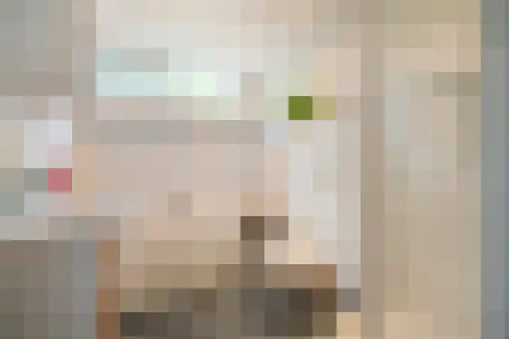 de Meibree 2 Raalte thumbnail 22