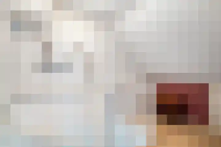 de Meibree 2 Raalte thumbnail 24