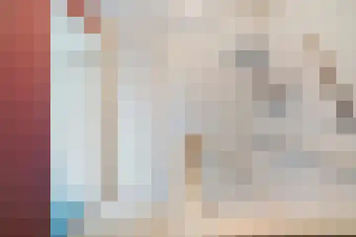 de Meibree 2 Raalte thumbnail 25