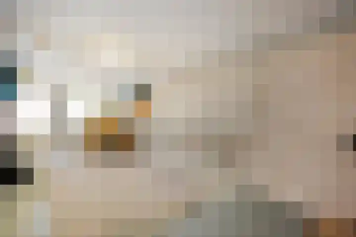 de Meibree 2 Raalte thumbnail 31