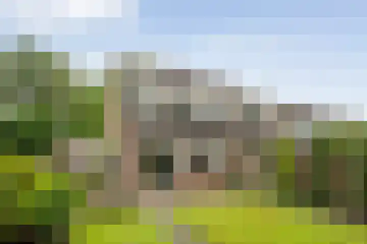 de Meibree 2 Raalte thumbnail 34