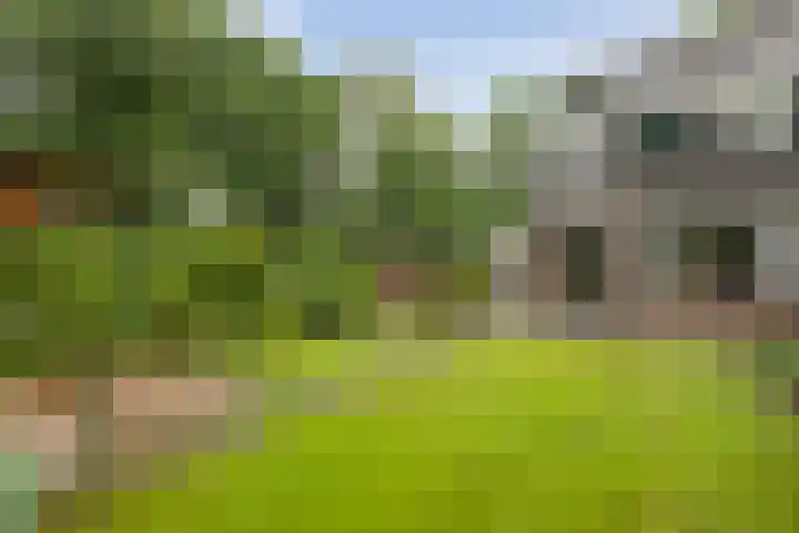 de Meibree 2 Raalte thumbnail 35