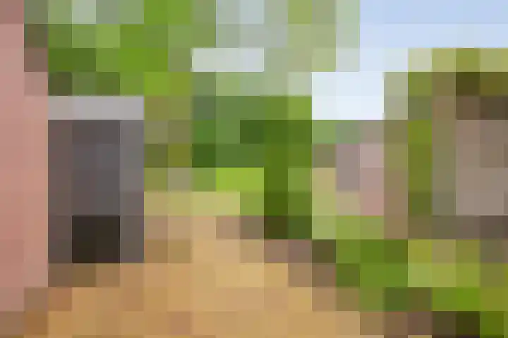 de Meibree 2 Raalte thumbnail 38