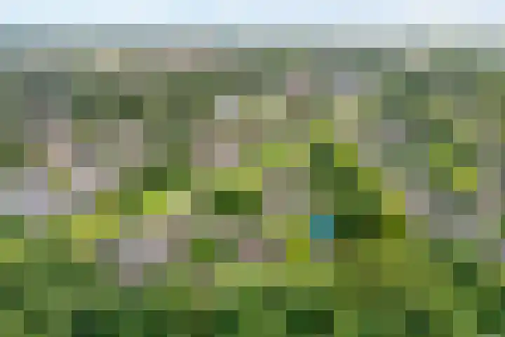 de Meibree 2 Raalte thumbnail 4