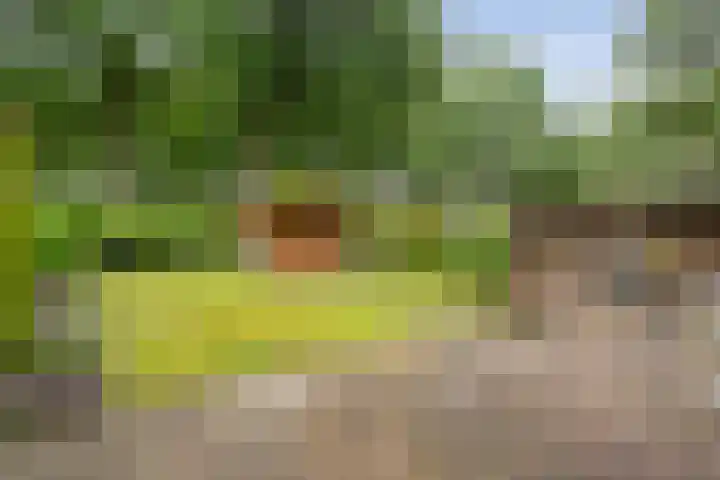 de Meibree 2 Raalte thumbnail 40
