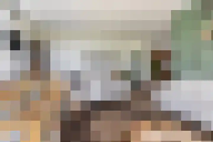 De Meidoorn 16 Bedum thumbnail 14