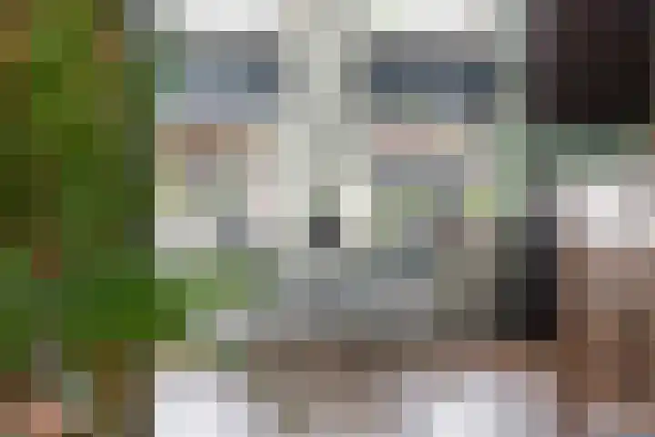 De Meidoorn 16 Bedum thumbnail 16