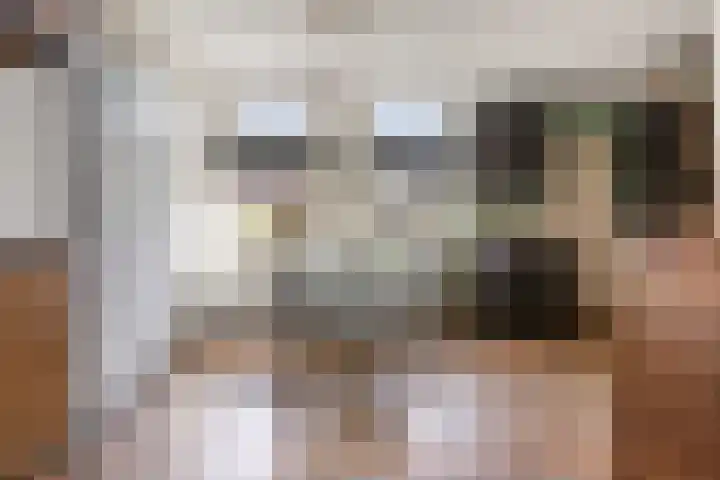 De Meidoorn 16 Bedum thumbnail 17