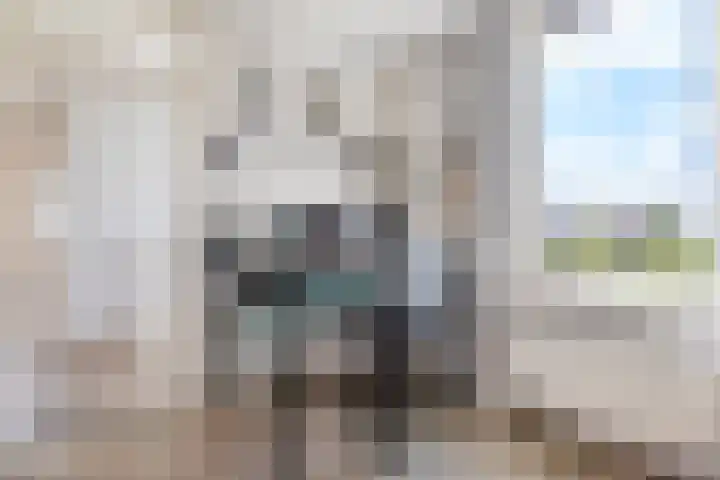 De Meidoorn 16 Bedum thumbnail 31