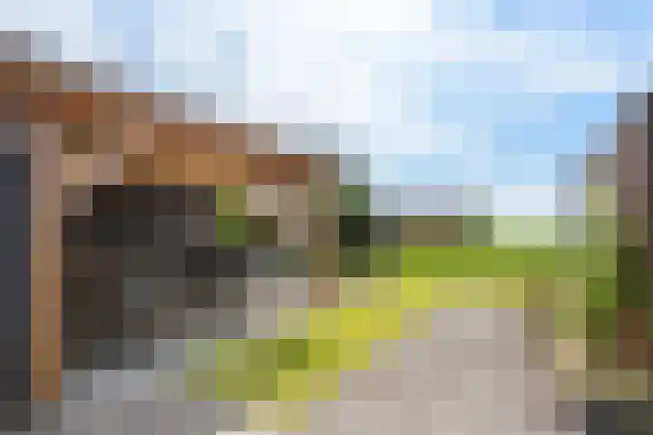 De Meidoorn 16 Bedum thumbnail 37