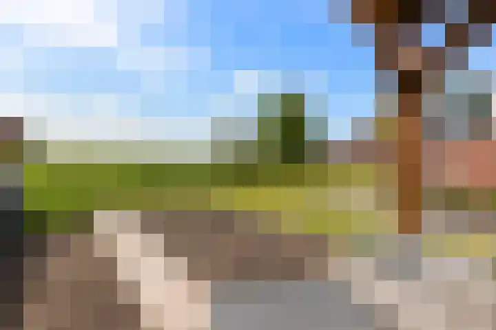 De Meidoorn 16 Bedum thumbnail 40